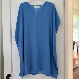 Beautiful Anna Cate Eva v-neck periwinkle hydrangea dress flutter caftan shift L